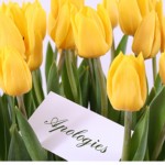 APOLOGY FOR THE DELAY