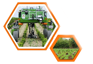 01 TechTeamSolutions